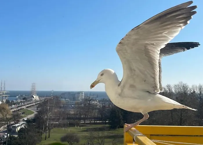 Gdynia Skwer Kosciuszki